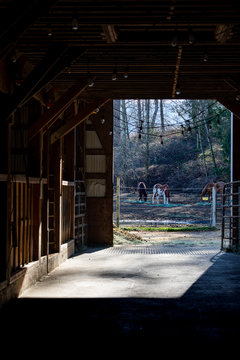 Old Barn with Horse outside in pasture