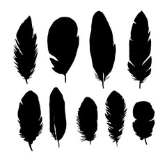 set of bird feathers vector, ink sketch, hand drawing silhouette