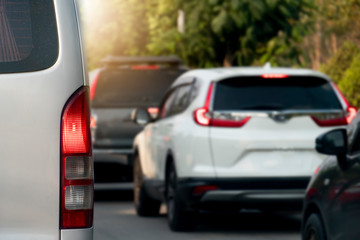 Back side of cars on the road with tree for background.