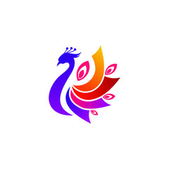 Peacock abstract Logo design vector template