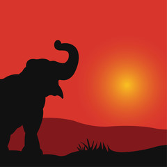 Vector illustration of elephant silhouette on sunset