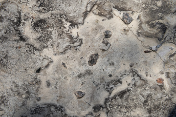 Old texture background close-up, gray concrete wall. Backgrounds and textures