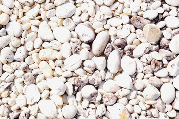 pebble stone background, beach stone outdoor nature