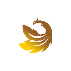 eagle and a wing logo template