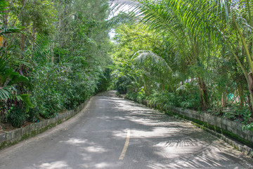 The entrance road to the botanical garden

