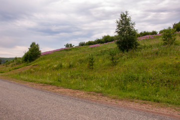 Big autumn field with trees far away and clouds in the blue sky. Asphalt road. Travelling 