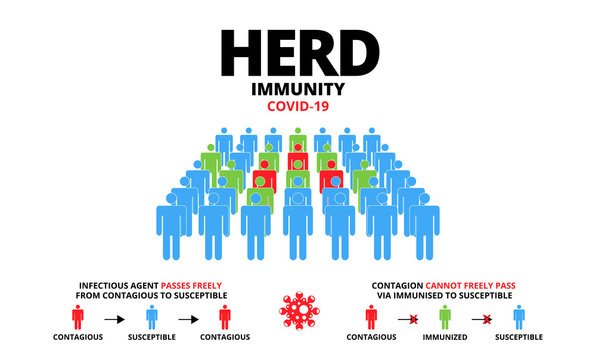 Group of people with Herd immunity COVID-19 text. Concept of herd immunity or a group of people who are infected with the infected person as a virus spread in society. Vector illustration.