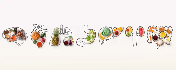 Foto op Canvas Beste menu voor een gezond lichaam. Collage met contouren van menselijke inwendige organen en gezond voedsel op witte achtergrond © Prostock-studio