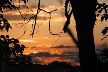 Nature under the setting sun