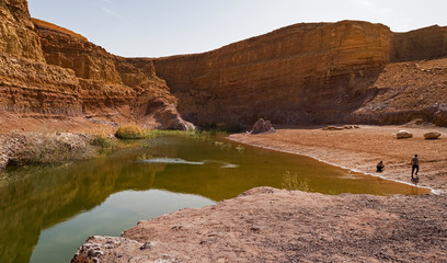 Fototapeta na wymiar tourists skipping stones on the mishhor pond created by historic quarrying in the bottom of the colorful makhtesh ramon crater in israel