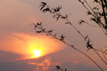Fototapeta premium sunset in the sky