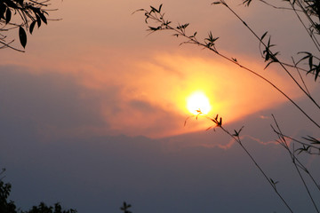 Fototapeta premium sunset in the sky