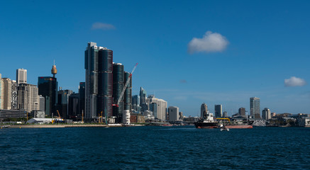 Fototapeta premium sidney31