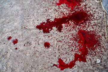 a pool of blood lies on the pavement