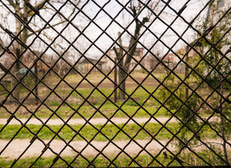 view of the landscape through an iron mesh