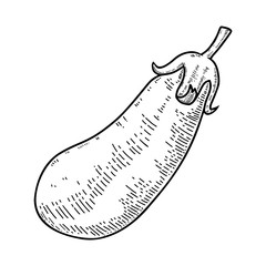 Illustration of eggplant in engraving style. Design element for logo, label, sign, emblem, poster. Vector illustration