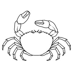 Illustration of sea crab in line style. Design element for logo, label, sign, emblem, poster. Vector illustration