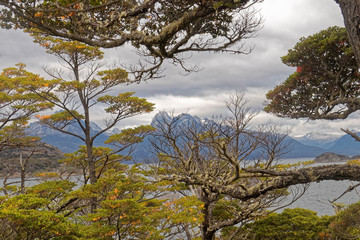 Argentina - views in the national park.