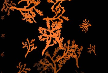Obraz premium Dark Orange vector elegant pattern with sakura.