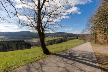 Landstrasse im Sauerland mit Bäumen