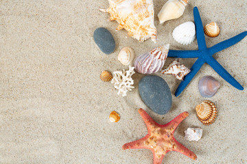 Fototapeta na wymiar colorful sea shells and pebles on sand