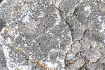 Close up of the surface of a grey rock in the nature