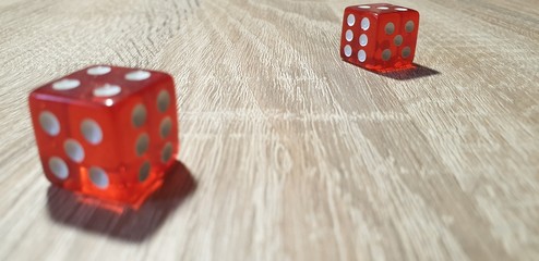 Dice in the close-up.Red Dice Rolling.Game cubes.
