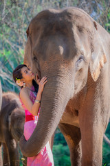 Beautiful thai women wearing traditional thai clothes standing on an elephant in nature park thailand, woman concept.