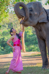 Beautiful thai women wearing traditional thai clothes standing on an elephant in nature park thailand, woman concept.