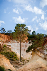 A pine tree stands alone against the background of red and white mountains in the town of Provence Colorado