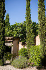Three tall firs stands near the entrance to the Villa