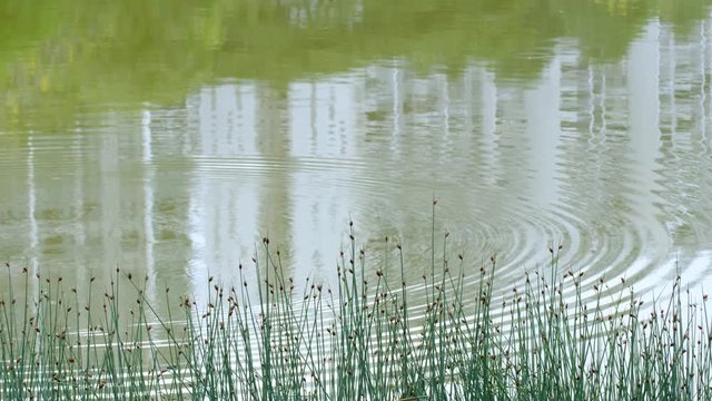 residential building reflection on nature lake