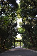 Beautiful and peaceful day in Yoyogi Park 