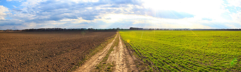 Fototapeta na wymiar The pathway in the middle of the field that separates green meadow and soil ground