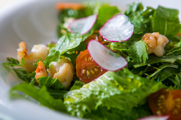 Green salad with cherry tomatoes, shrimps and radish slices
