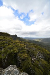 Fototapeta na wymiar Beautiful wild jungle landscape in Fiordland National Park in New Zealand