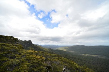 Beautiful wild jungle landscape in Fiordland National Park in New Zealand