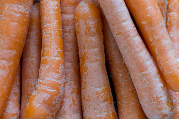 carrots background