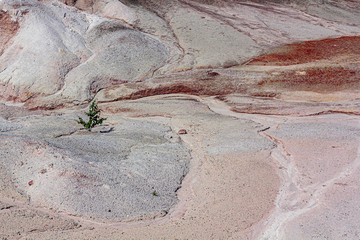 Apocalyptic landscape like a planet Mars surface. Solidified red-brown black Earth surface. Barren, cracked and scorched land. Global warming concept. Refractory clay quarries.