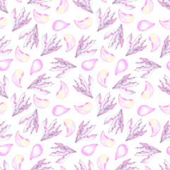 Seamless pattern of watercolor spring flowers and petals. White background.