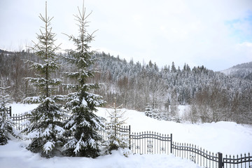Beautiful landscape with forest on snowy winter day