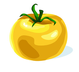 yellow type tomato vegetable food symbol isolated on white background