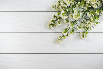 White daisies putting on a white wooden floor