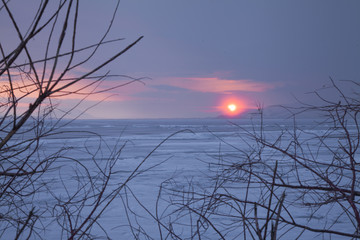 Tree branches & twigs on the background of frozen Sevan Lake in Armenia , Sunset in the horizon