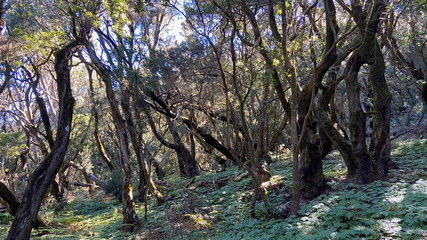 La Gomera auf den Kanaren