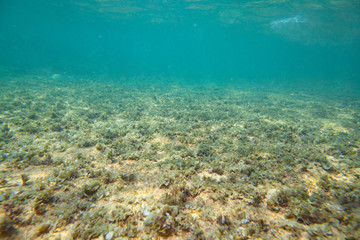 Fototapeta na wymiar Ocean seabed with stones and sand.