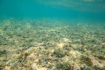 Fototapeta na wymiar Ocean seabed with stones and sand.