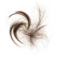 Fototapeta premium Hair bundle isolated on white background. tuft hair close-up