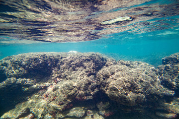 Ocean seabed with stones and sand.