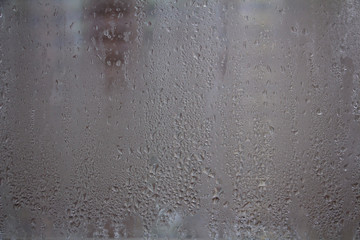 Condensation on the Windows inside the apartment